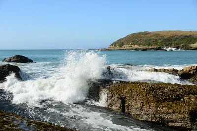 DSC_2645 (Large).JPG